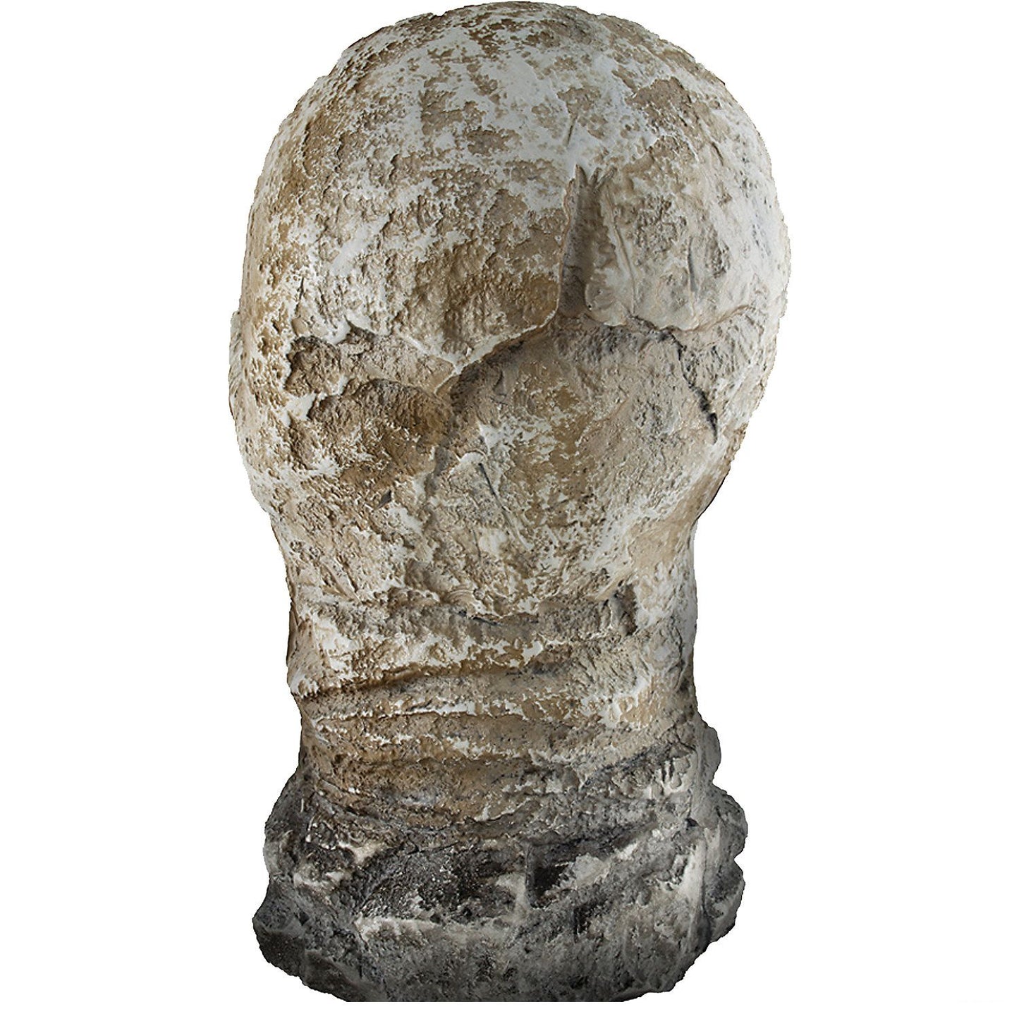 12" Flaming Rotted Skull Animated Prop
