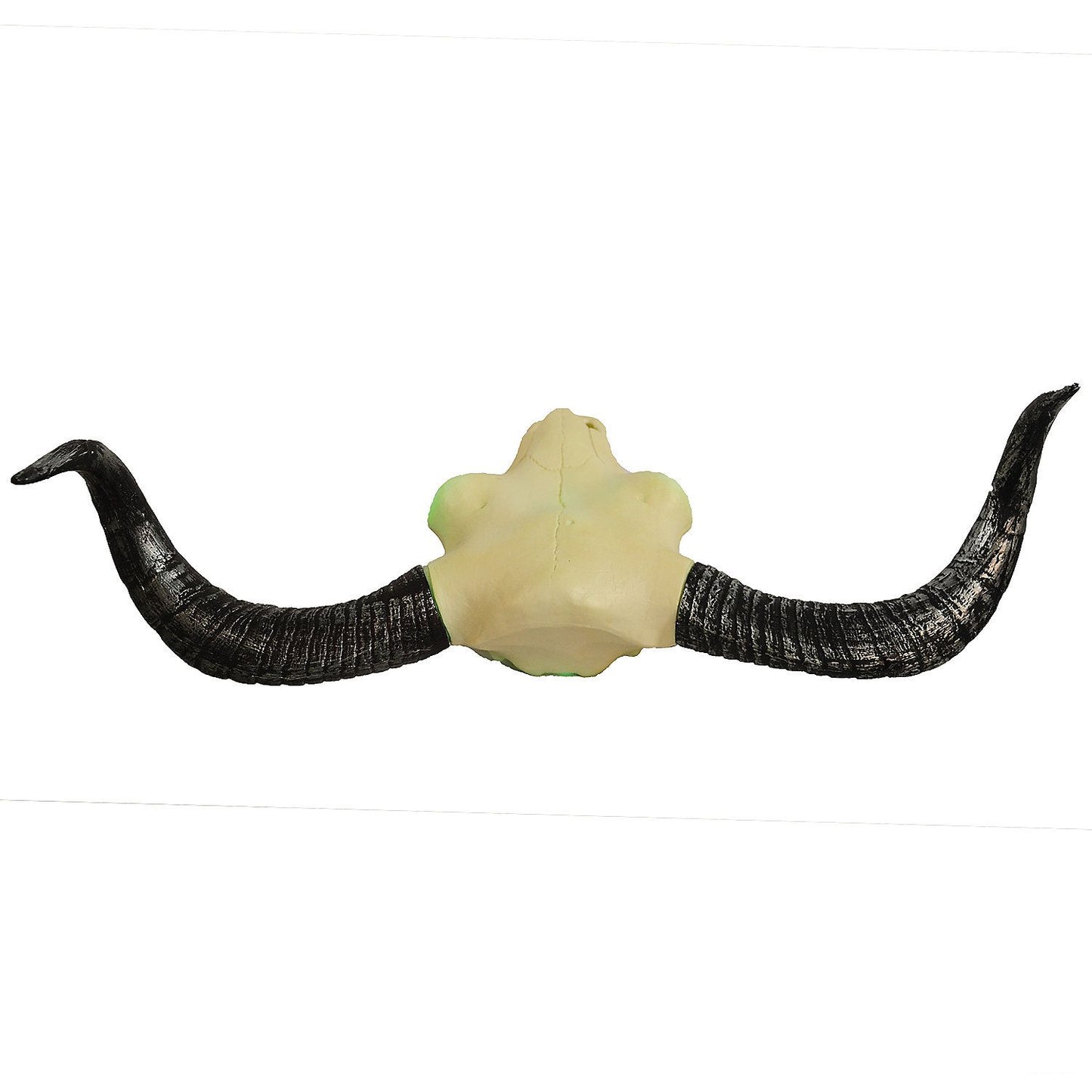 Light Up Longhorn Skull Decoration