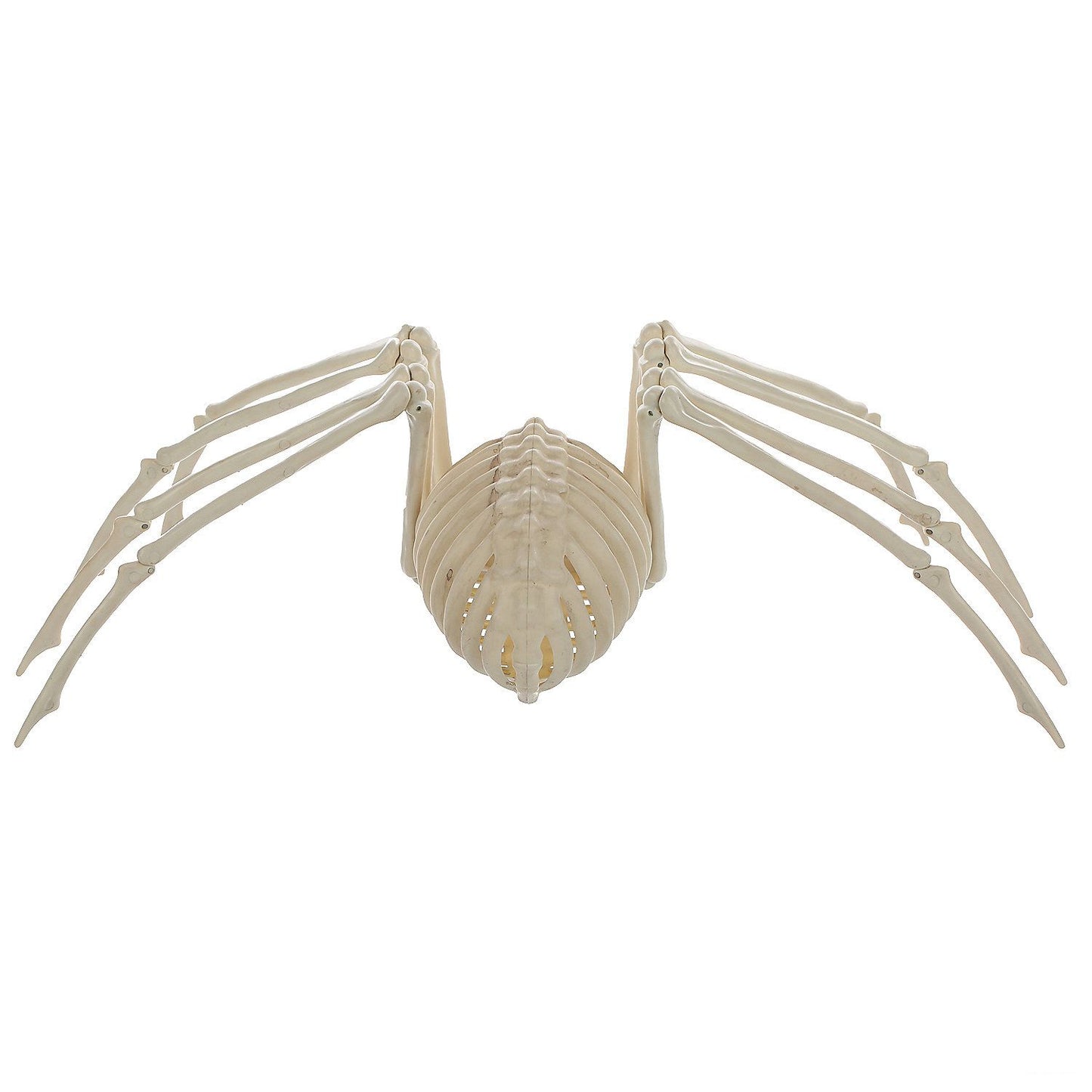 Spider Skeleton Halloween Decoration