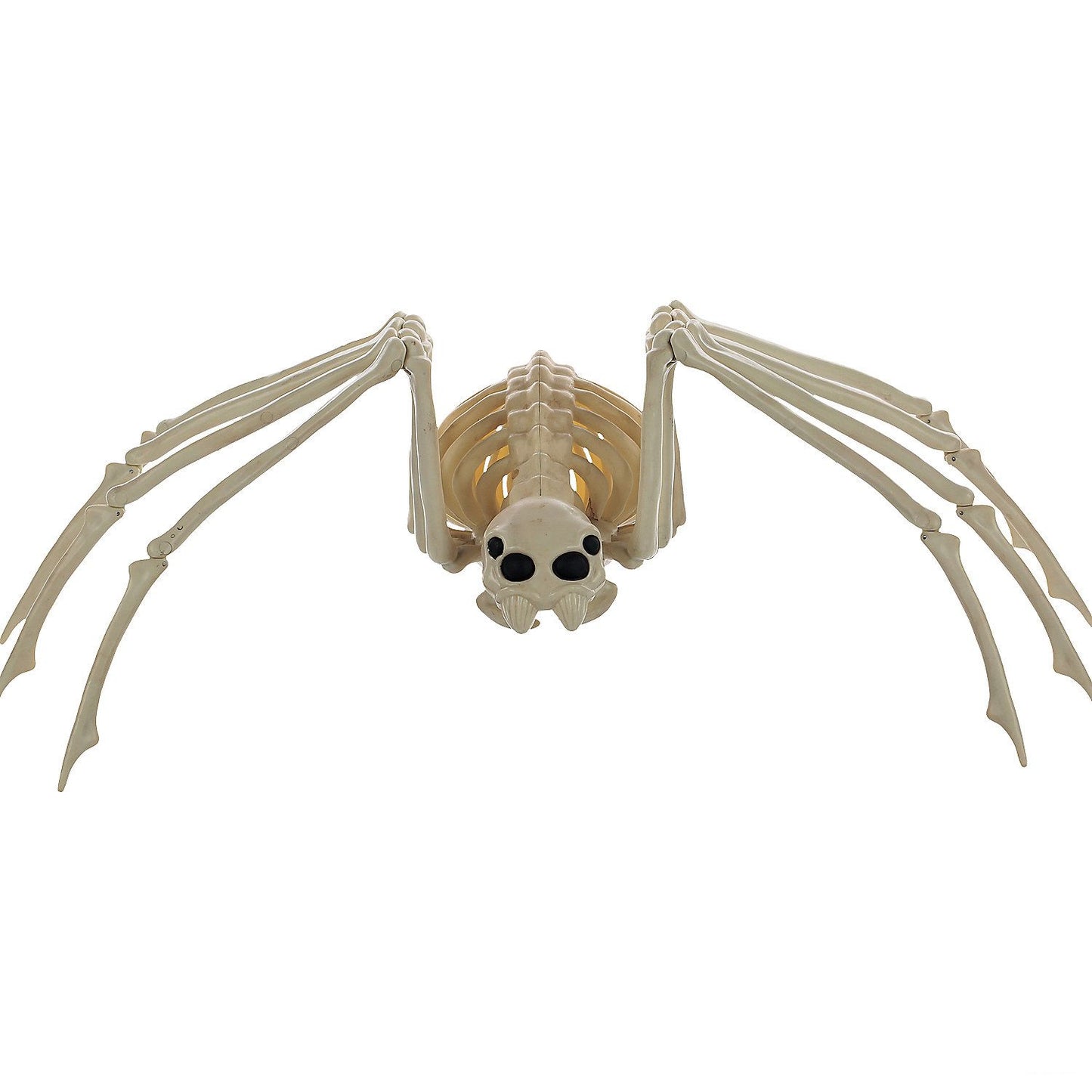 Spider Skeleton Halloween Decoration