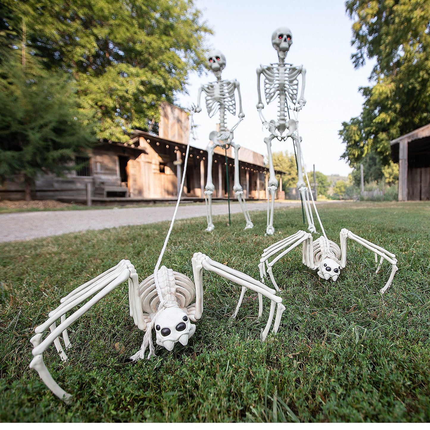 Spider Skeleton Halloween Decoration