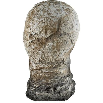 12" Flaming Rotted Skull Animated Prop