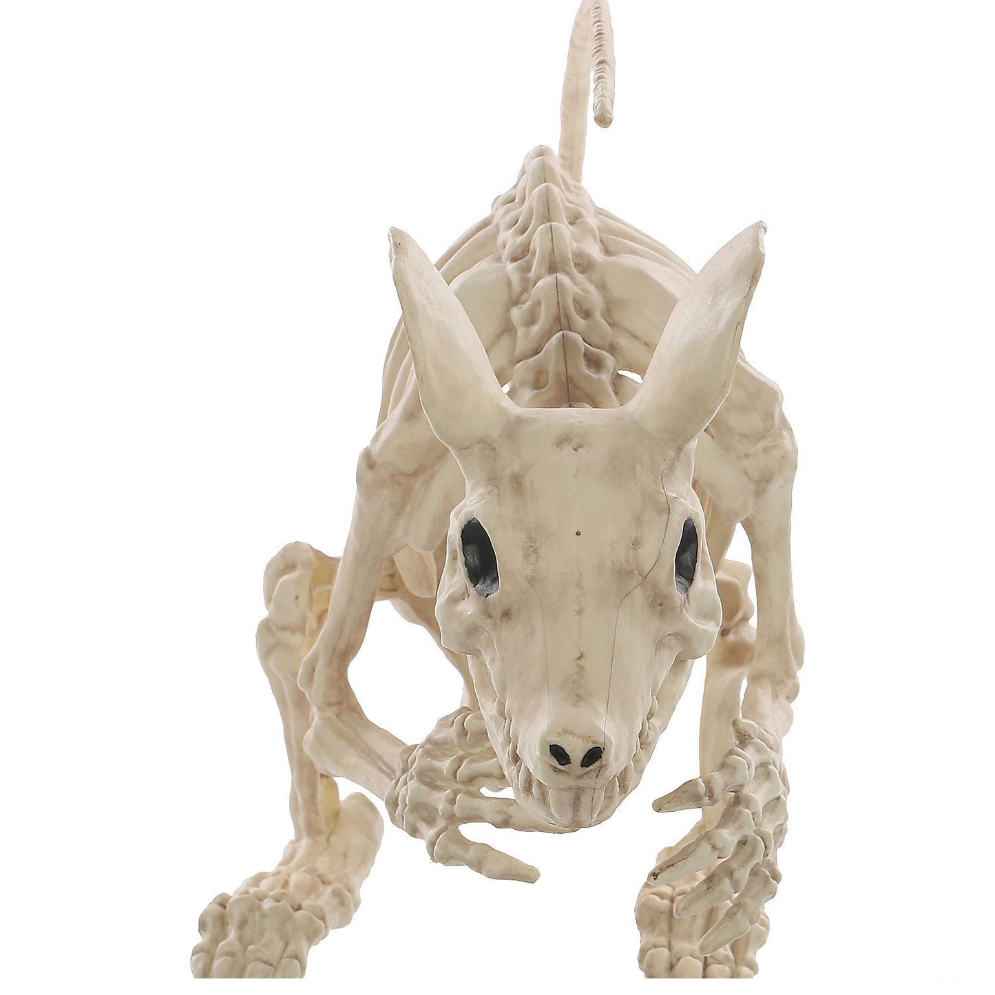 21.5" Rat Attack Skeleton Decoration