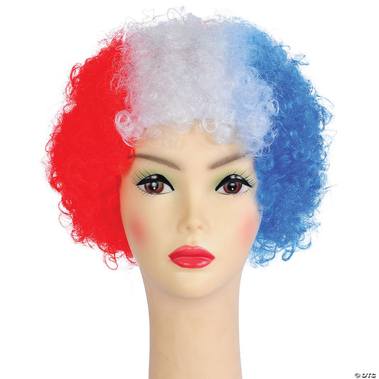 Adults Bargain Afro Wig