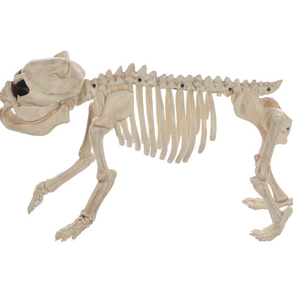 Bones the Dog Skeleton Halloween Decoration