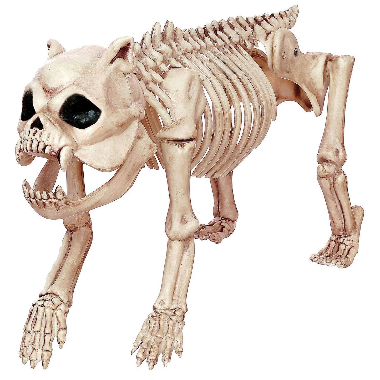 Bones the Dog Skeleton Halloween Decoration