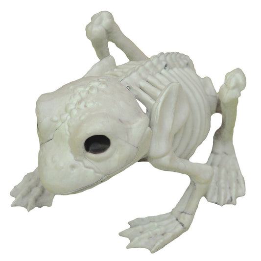 Frog Skeleton Decoration