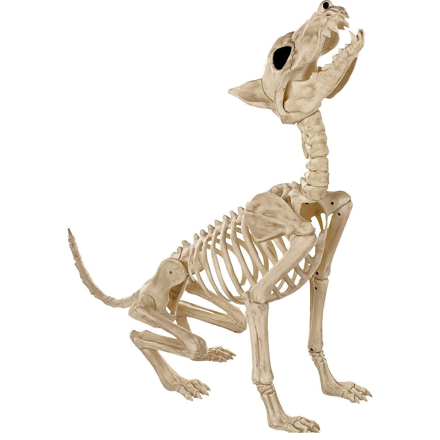 Howl At The Moon Wolf Skeleton Decoration