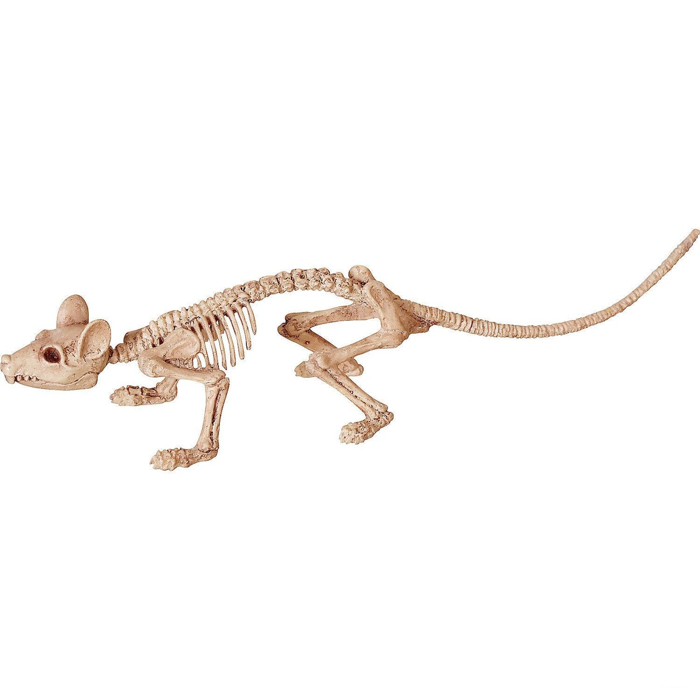 Mini Skeleton Rat Prop