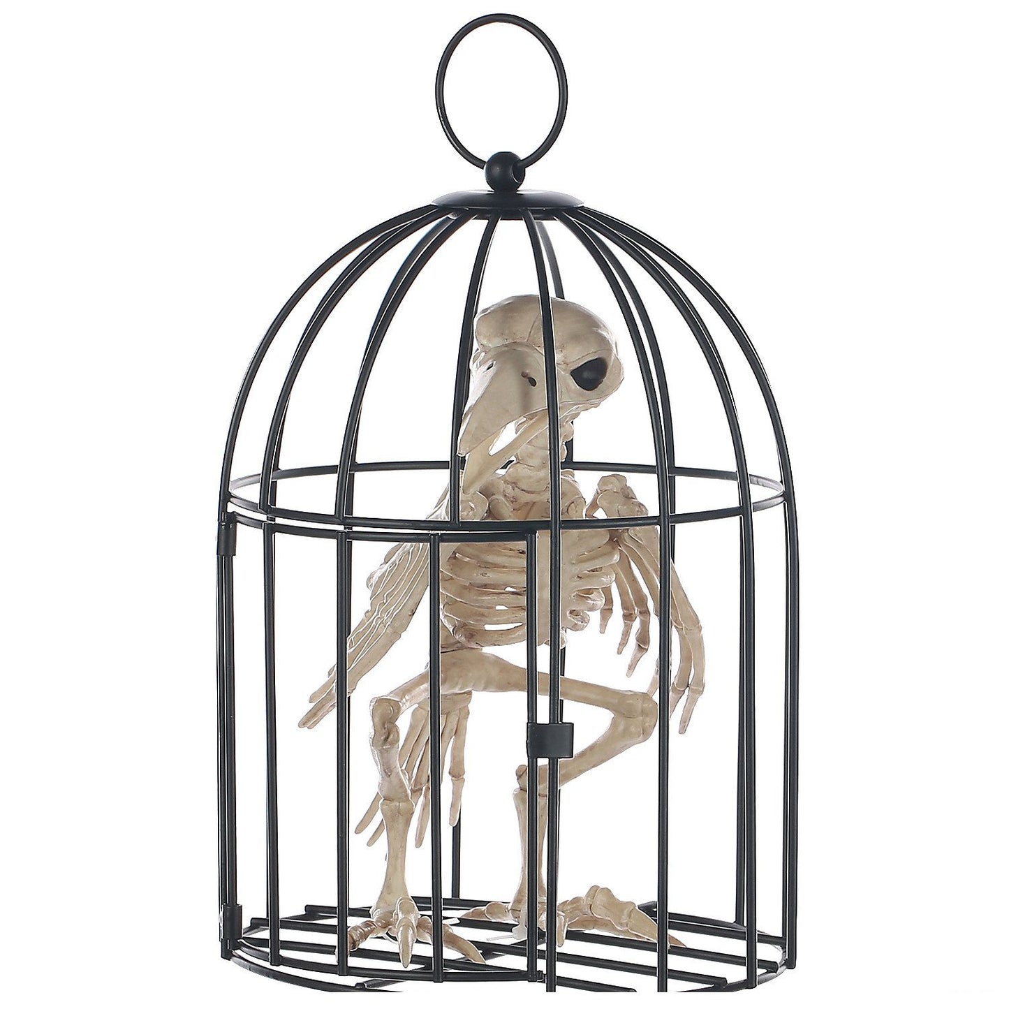 Skeleton Crow in a Cage