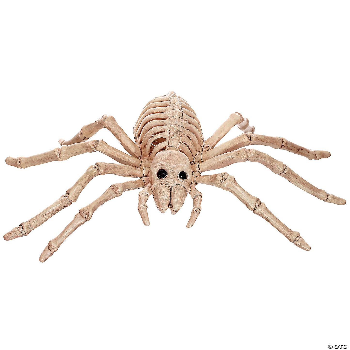 Skeleton Spider Decoration
